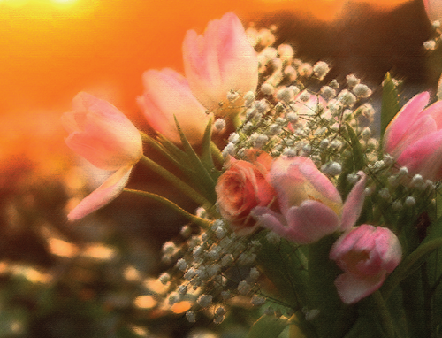 Jesus Lovers Mail Club!